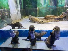 -华夏文旅海洋公园