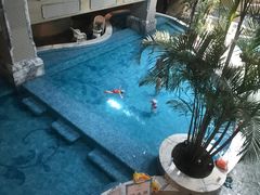 -大东方海鲜酒楼(小武基桥店)