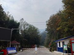 -素山寺森林公园