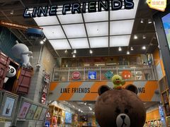 -line friends(明洞旗舰店)