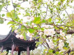 -堤角公园