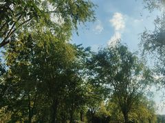 -白鹭湾湿地公园