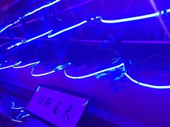 -夜猫子串吧·龙虾.江西小炒(万塘路店)