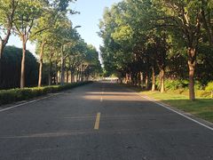 -阳澄湖半岛旅游度假区