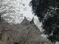 -武汉大学-樱园