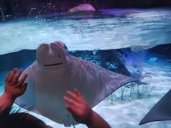 -沈阳海洋探索中心