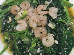 虾仁烧菠菜-老健康贾姨原味馆