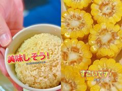-三亚湾水产综合交易市场