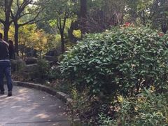 -安飞驰驾校·学车连锁(金高店)