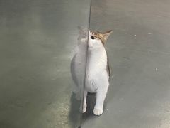 -蓝天射箭馆·专业射箭运动(诚丰广场店)