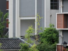 教学楼-无锡师范学校附属小学(学前街校区)