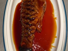 -宏宴·新京菜(望京店)