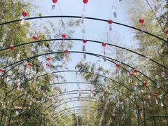 -陶祖圣境风景区