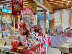 -猫的天空之城概念书店(丽江古城饮玉巷店)