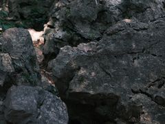 -灵隐飞来峰景区