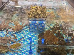 -映像威海·海鲜味道(市区店)