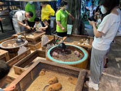 -酷嗒动物文化乐园(cutezoo西溪乐天城店)