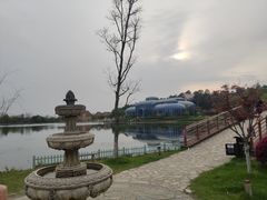 -大塘金香草谷