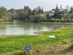 -桤木河湿地公园