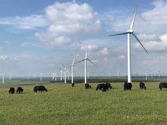 -塞罕坝国家级自然保护区