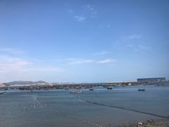 -添福来墨鱼饺子 · 海鲜东北菜(泡崖店)