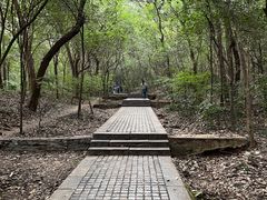 -紫金山山顶公园