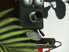 -溪岸路花鸟市场