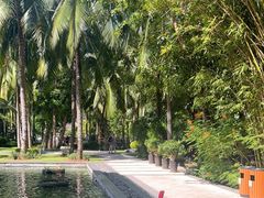 -三亚湾海居铂尔曼度假酒店