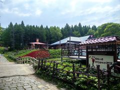 -香炉山国家森林公园