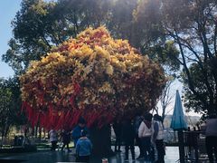 -狼山风景名胜区