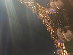 -影汇之星8字形摩天轮