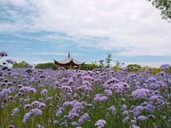 -杭州城北体育公园