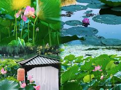 -北陵公园