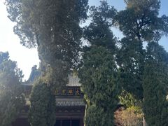 -报恩寺(平武县)