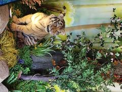 -西霞口神雕山野生动物世界