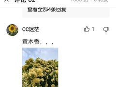 -桂湖森林公园