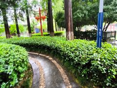 -郑和公园