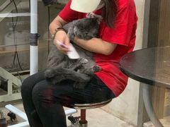 -PETKIT小佩宠物(昭化店)