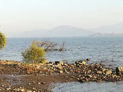 -深圳湾公园(南山区)
