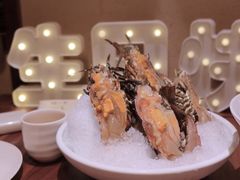 澳洲小青龙-揽季锅物会.福建黄鱼.海鲜姿造(五四路店)
