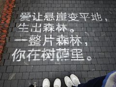 -厦门园林博览苑