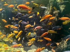 -太平洋海底世界