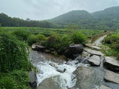 -中国茶叶博物馆(双峰馆区)