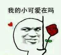 -金轮星光名座生活广场
