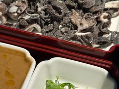 -喜悦烤鸭·新京菜(王府井店)