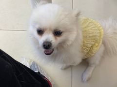 -怪兽屋·羊驼·猫咖·狗咖(俊华广场店)