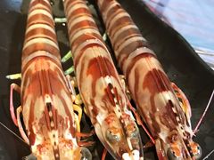 -鲜入围煮花胶鸡海鲜火锅