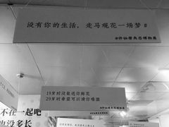 -成都失恋馆