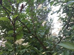 -哈尔滨工业大学-图书馆