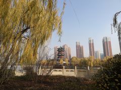 -迎泽公园